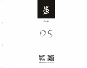 DS-6墨 